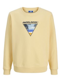Jungen Pullover