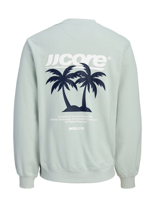 Jungen Sweatshirt
