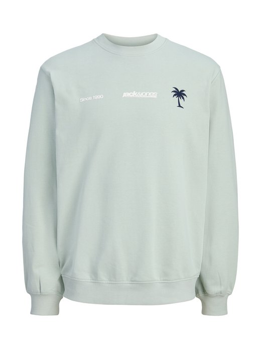 Jungen Sweatshirt