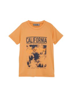 Artikelbild Jungen T-Shirt - COT-shirt W. Print - S/S, Boy von ColorKids in orange bedruckt