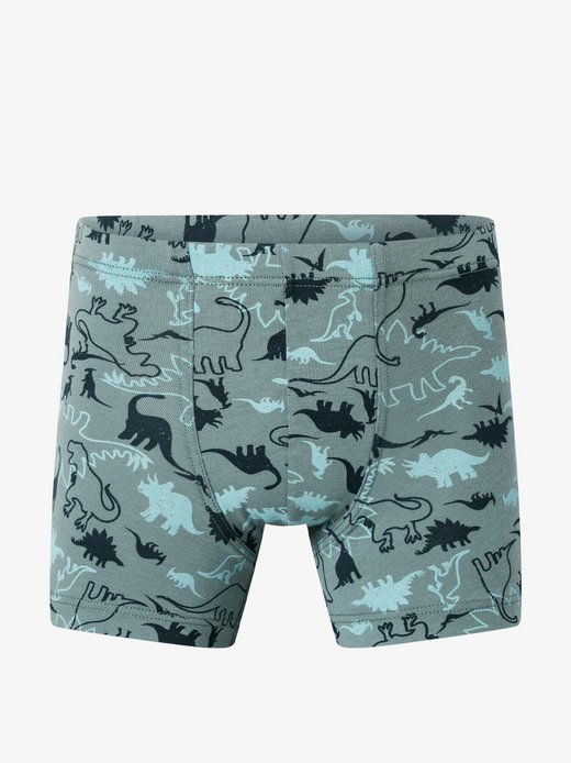 Jungen Trunk  -  955 Multi