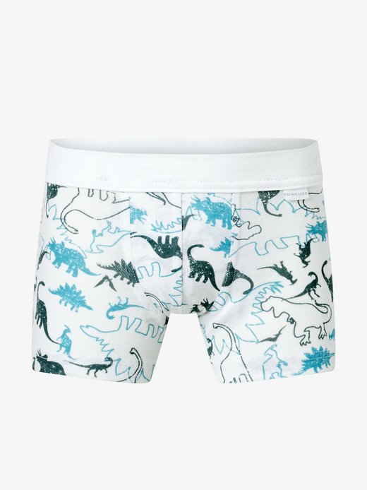 Jungen Trunk  -  Fine Rib Multi