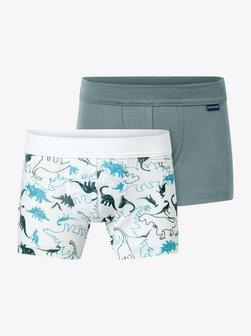 Jungen Trunk  -  Fine Rib Multi