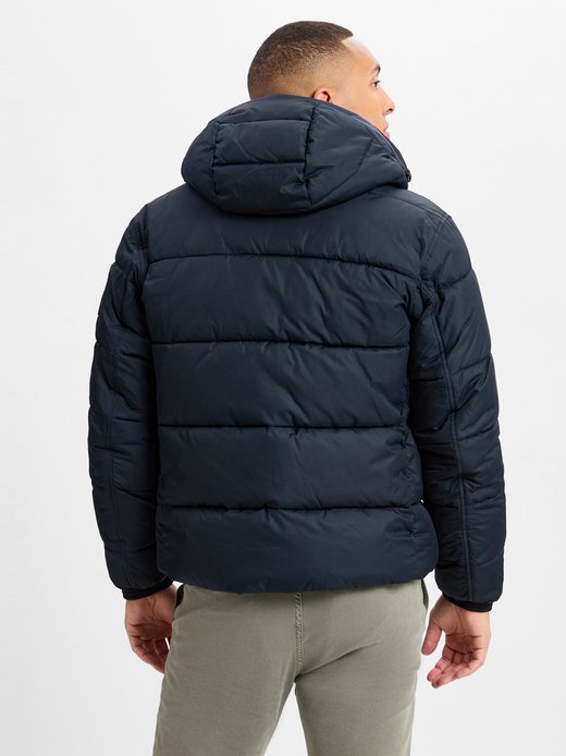 Męska kurtka pikowana - Omaris