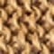 camel uni