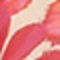 orange pink gemustert