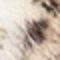 beige mehrfarbig gemustert