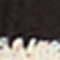 beige schwarz gestreift