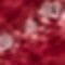 rot uni