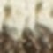 sand khaki gemustert