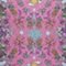 pink gemustert