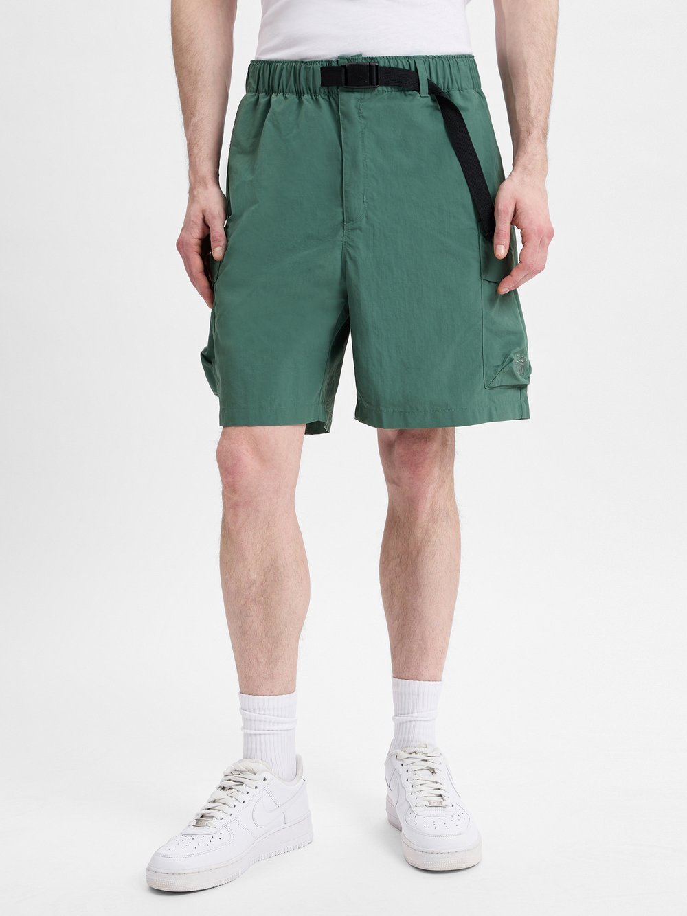 The North Face Shorts Herren grün, 46