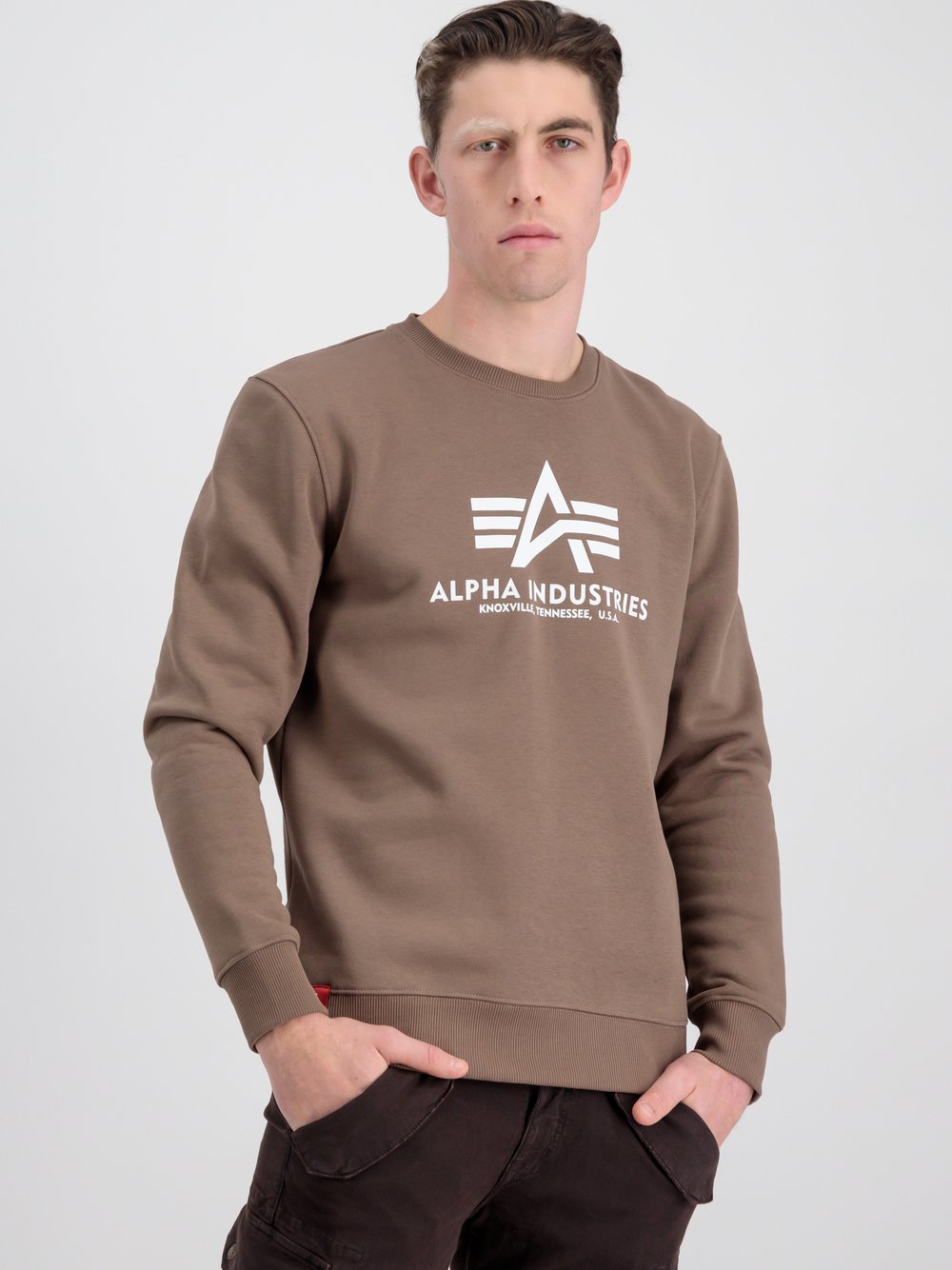 Alpha Industries Sweatshirt Herren beige bedruckt, XXXL