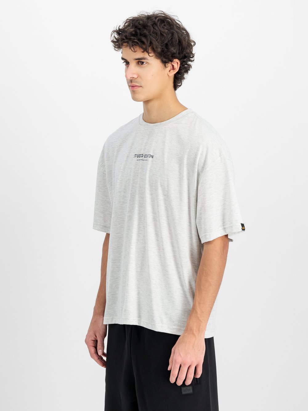 Alpha Industries T-Shirt Herren Baumwolle grau bedruckt, L