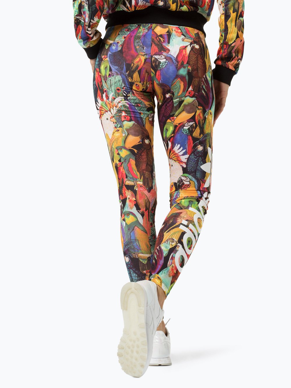 adidas leggings passaredo adidas leggings passaredo